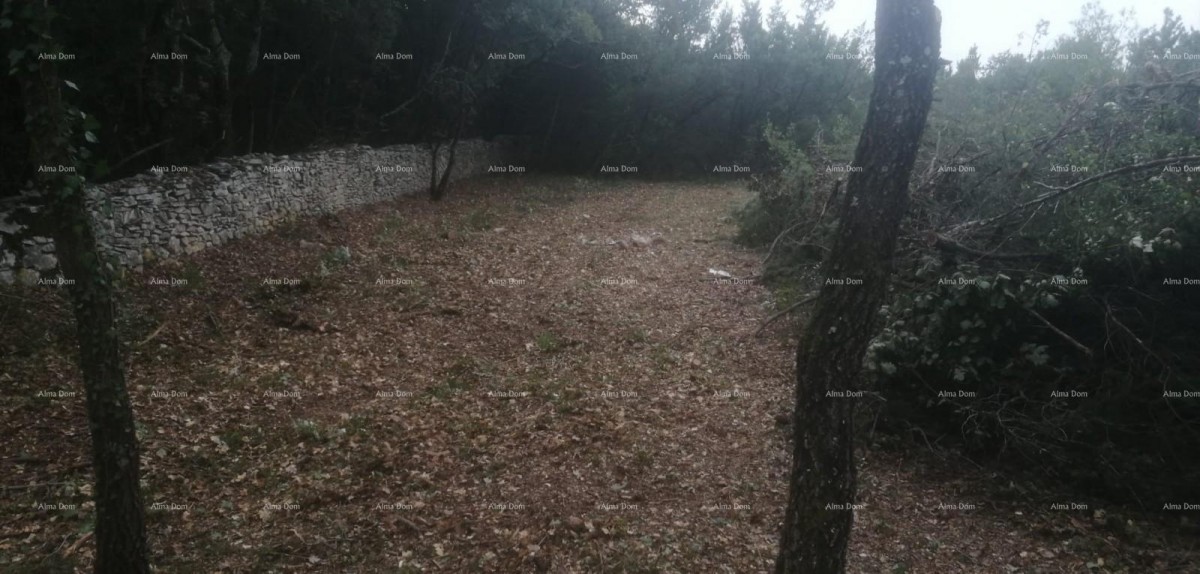 Građevinsko i poljoprivredno zemljište u blizini Svetvinčenata: 11100 m² za vašu investiciju 6