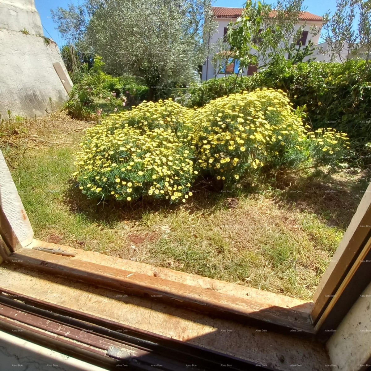 In vendita: affascinante casa istriana con ampio cortile – Valtura 8