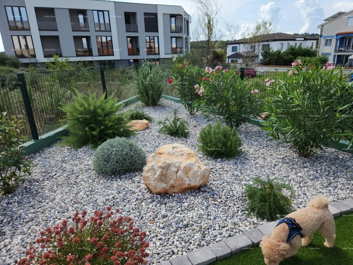 Современный оазис с бассейном и собственным садом в Банйолах 8