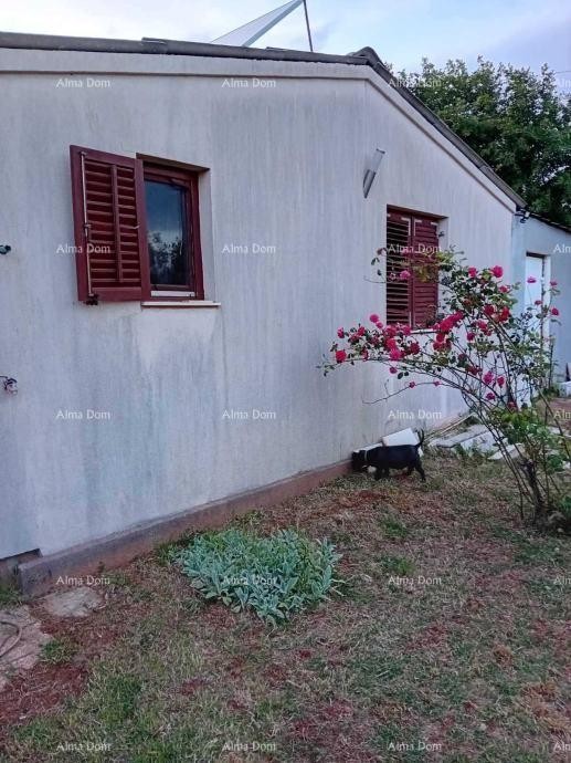 Marčana – House with an Olive Grove 7