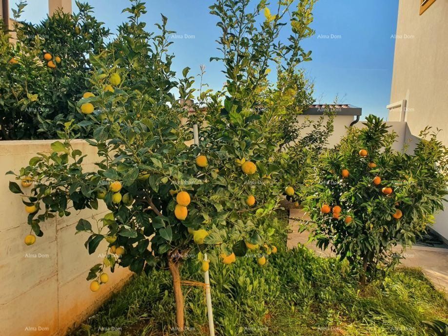 For sale: Spacious apartment with a gallery and rooftop terrace – Šijanska Forest 16