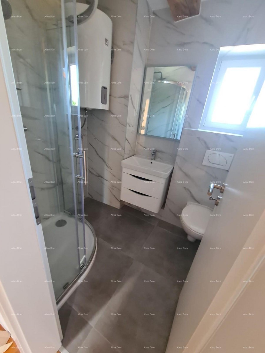 Renovirana kamena kuća s bazenom – mirno selo blizu Svetvinčenta 23