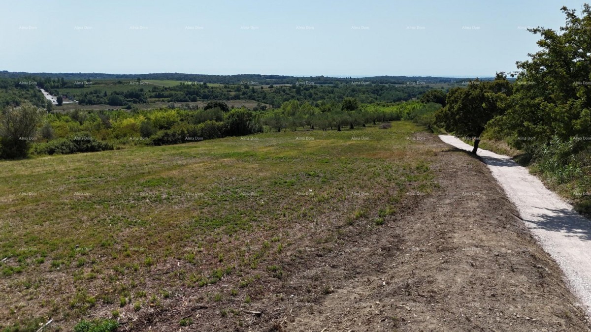 Vendita di terreni edificabili per la costruzione di edifici residenziali, Buie! 6