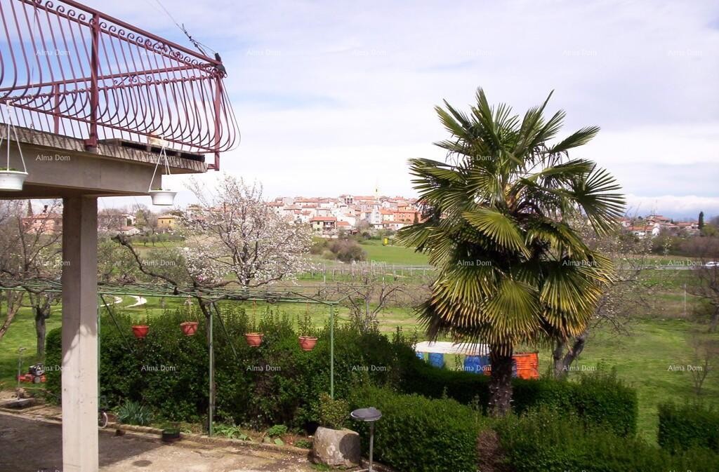 Kuća s tri stana i velikim zemljištem okružena vinogradima i maslinicima 5