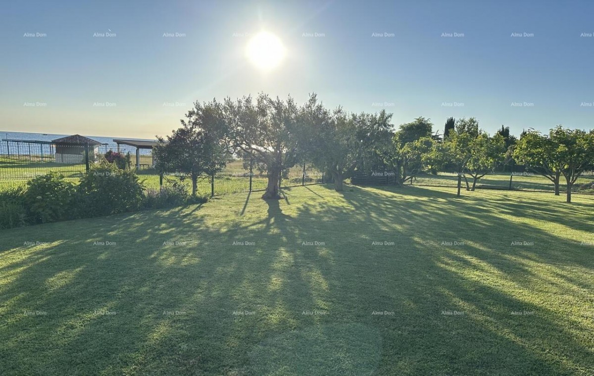 Lovrečica – building land 614 m², only 60 m from the sea 2