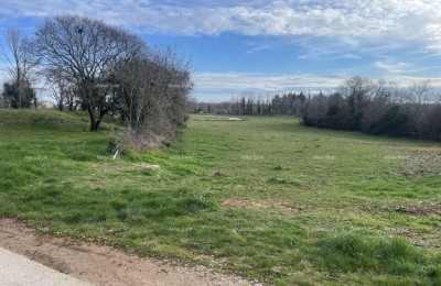 Лоборика – строительный участок 532 м2