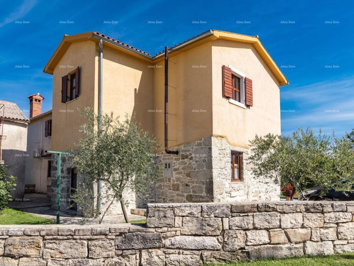 The translation of 1