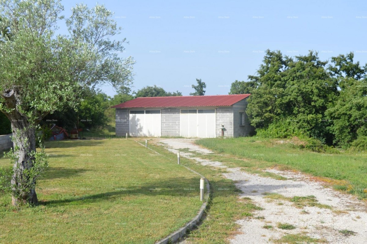 Рядом с Марчаной, дом на большом участке 26000 м2. 9