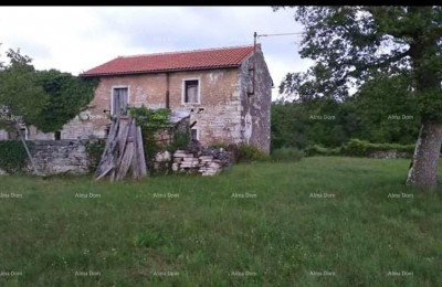 Prodaja istarske kamene kuće za kompletnu renovaciju na velikoj parceli od 4500 M2. Oprtalj