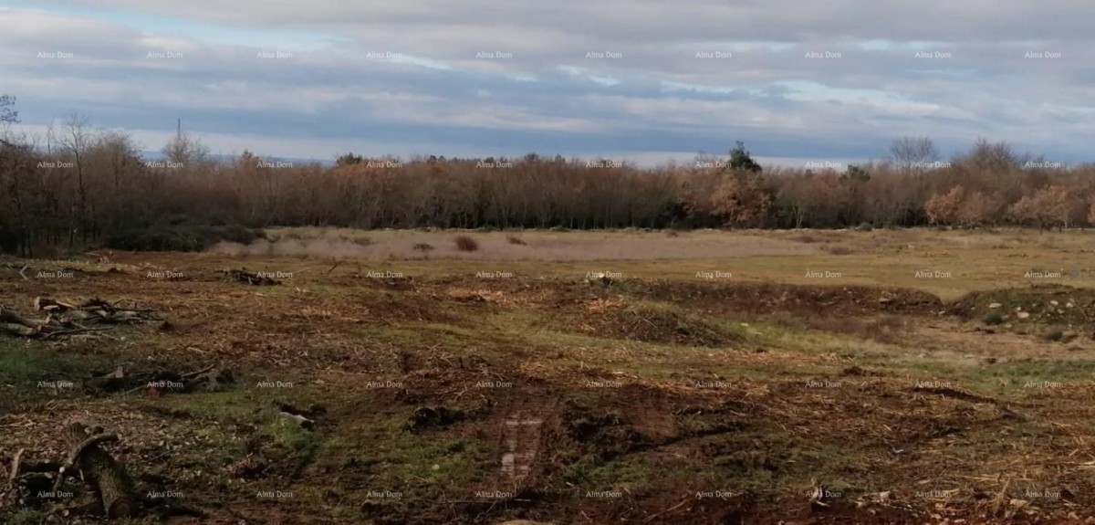 Terreno edificabile in vendita, Tar (Tar-Vabriga) 1