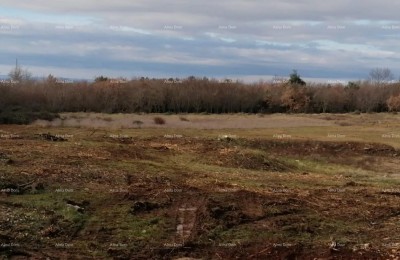 Продажа земли под застройку, Тар (Тар-Вабрига)