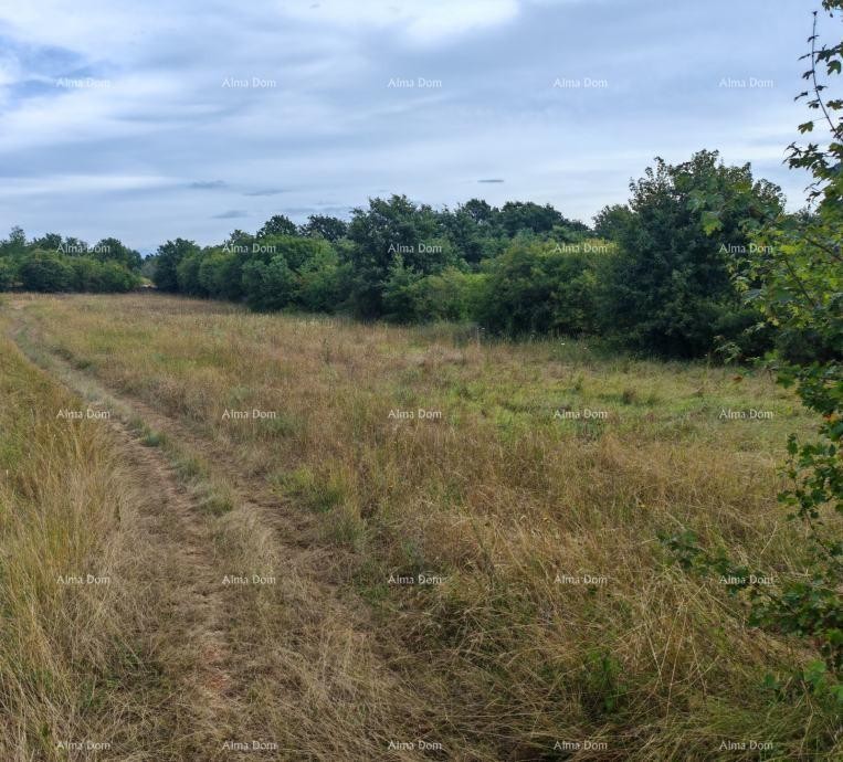 Building land with an area of 1,600 m² near Svetvinčenat 1