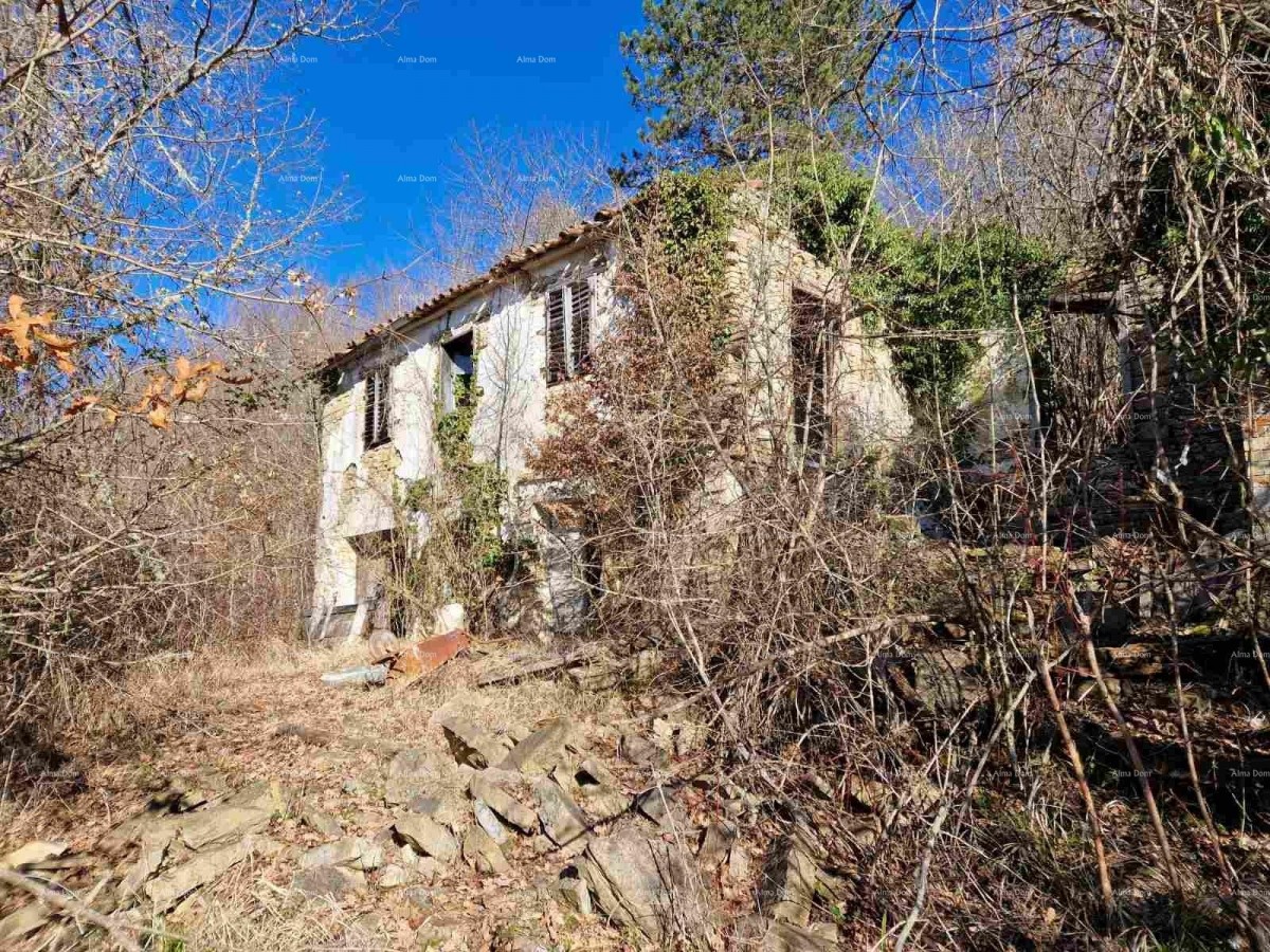 For Sale - Large Estate/Farm in Central Istria, Pazin! Investment Opportunity! 1