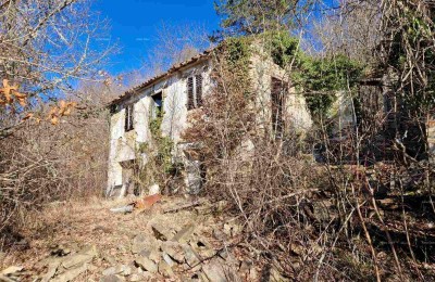 Prodaja- veliko imanje/stancija u središnjoj Istri, Pazin! Investicijska prilika!