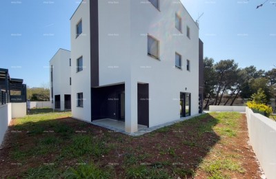 Ground floor with a large garden!