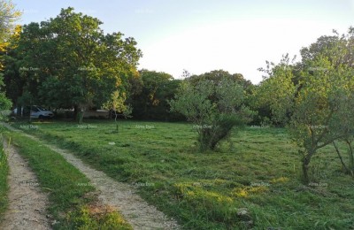 Building land, Ližnjan