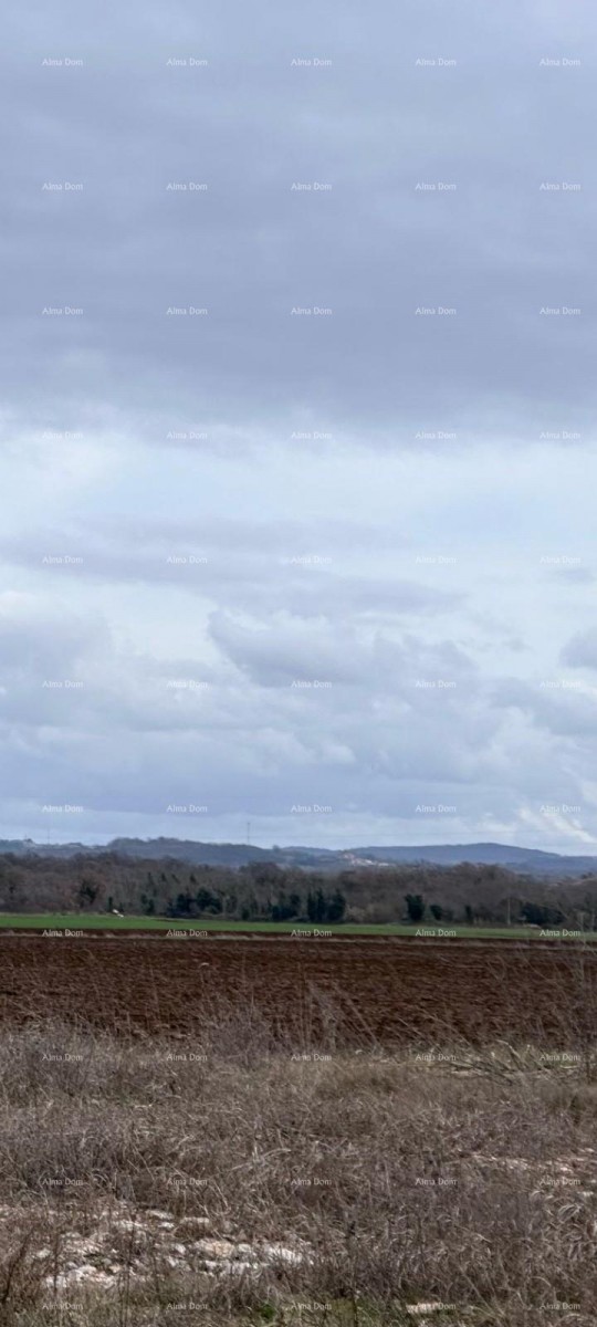 Građevinsko zemljiste s građevinskom dozvolom za izgradnju poslovne zgrade. Umag. 1
