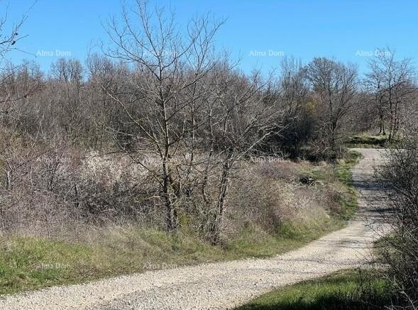 Prodaja - gradbeno zemljišče s dovoljenjem, gradnja se lahko začne takoj! Kanfanar! 8
