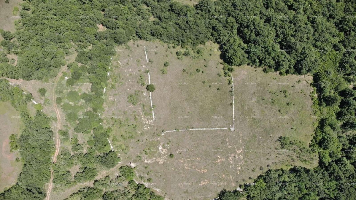 Эемля Svetvinčenat 2