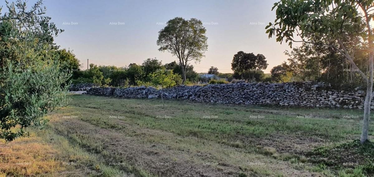 Эемля Marčana 6