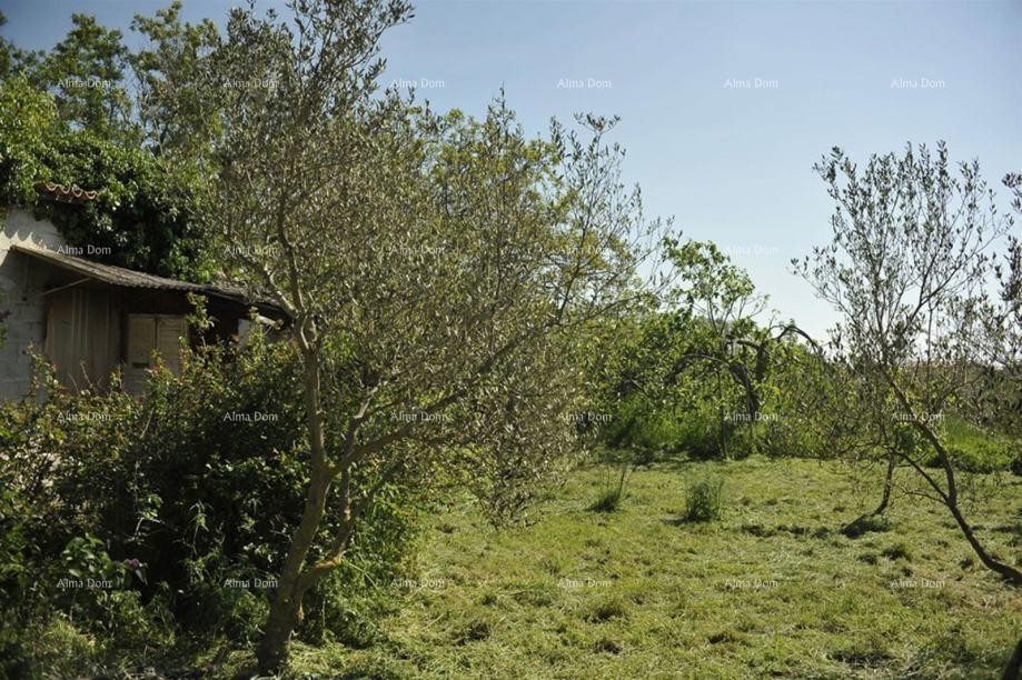 LOBORIKA - Gradbeno in kmetijsko zemljišče 3