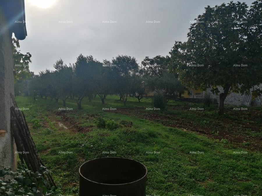 Marčana Vareški 14