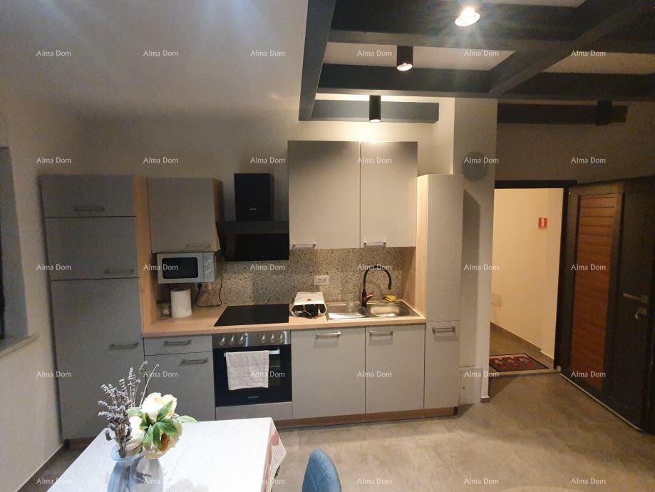 For sale: Spacious apartment with a gallery and rooftop terrace – Šijanska Forest 13