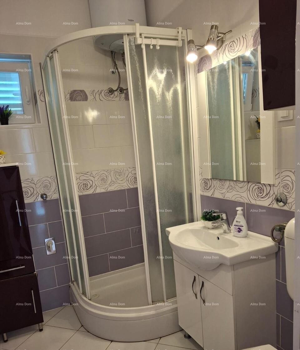 The translation of the title 12