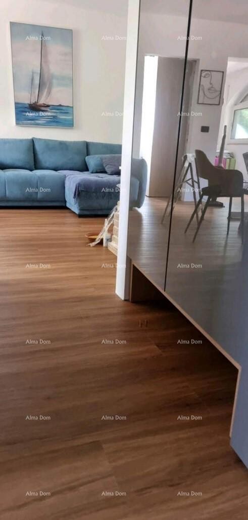 Apartment Novigrad 6