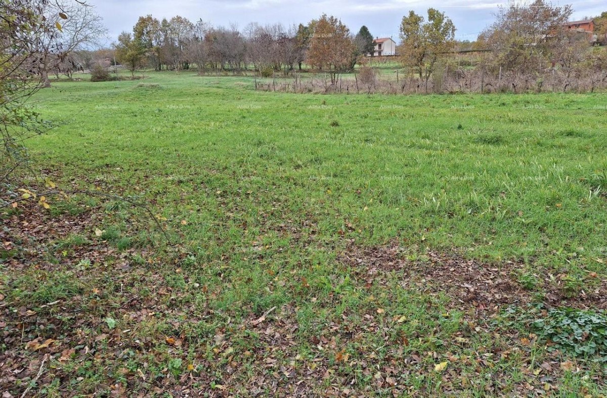 Terreno edificabile, 846 m2, Raša 1