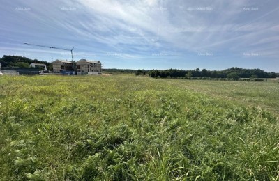 Building land for sale, 5832m2, Barban