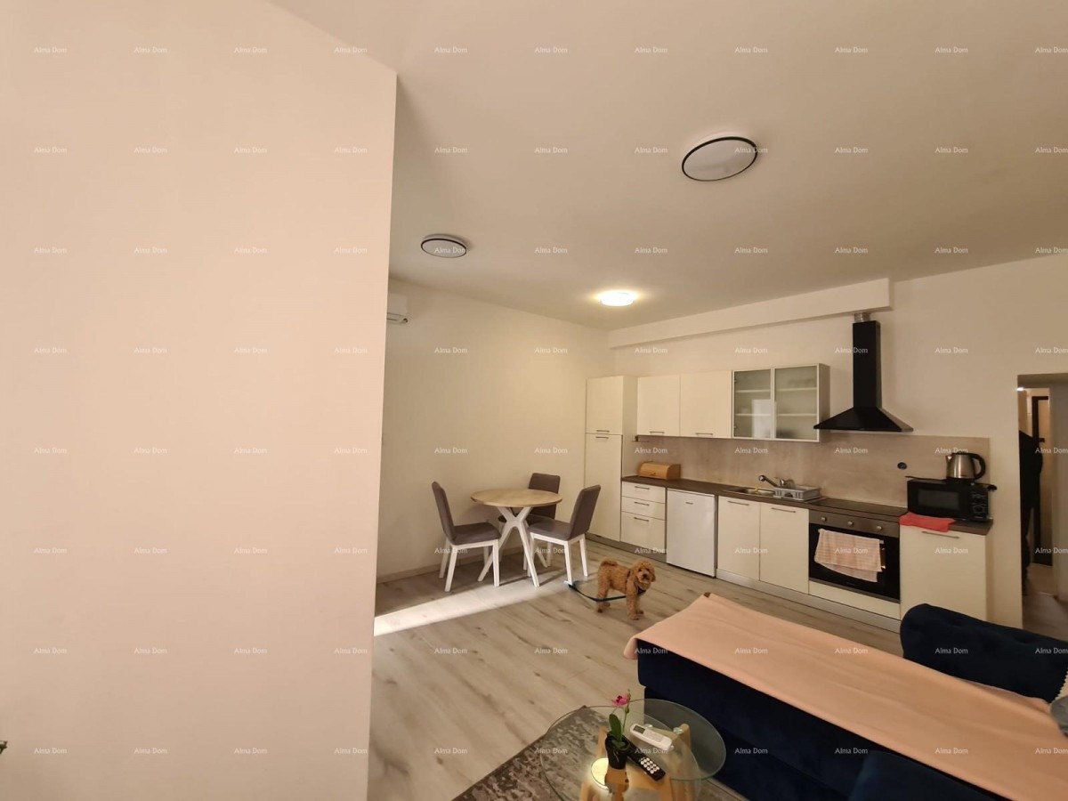 Prodaja nekretnine s dvema apartmaji – Pula 12