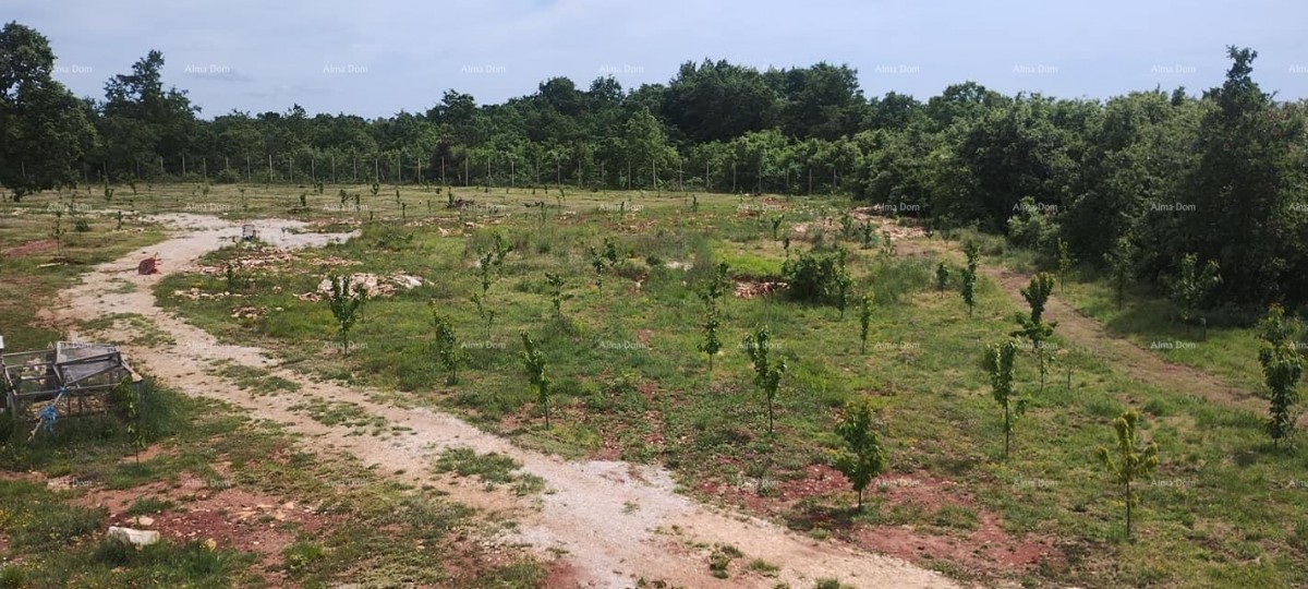 Prodaja zemljišča z gradbenim dovoljenjem za gradnjo vile z bazenom, Svetvinčenat! 1