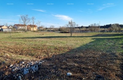 Building land in Štinjan!
