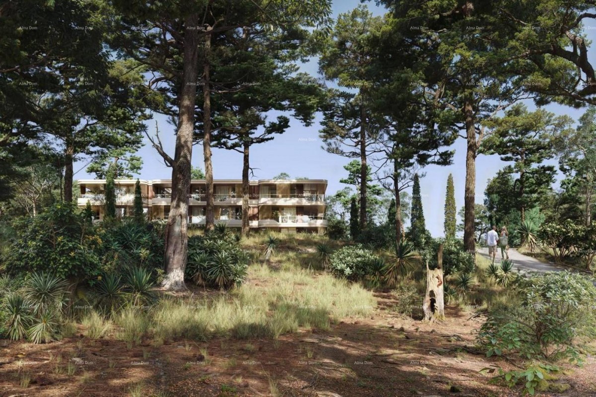 ROVIGNO - appartamento in vendita in un residence di lusso sul mare / S11 5