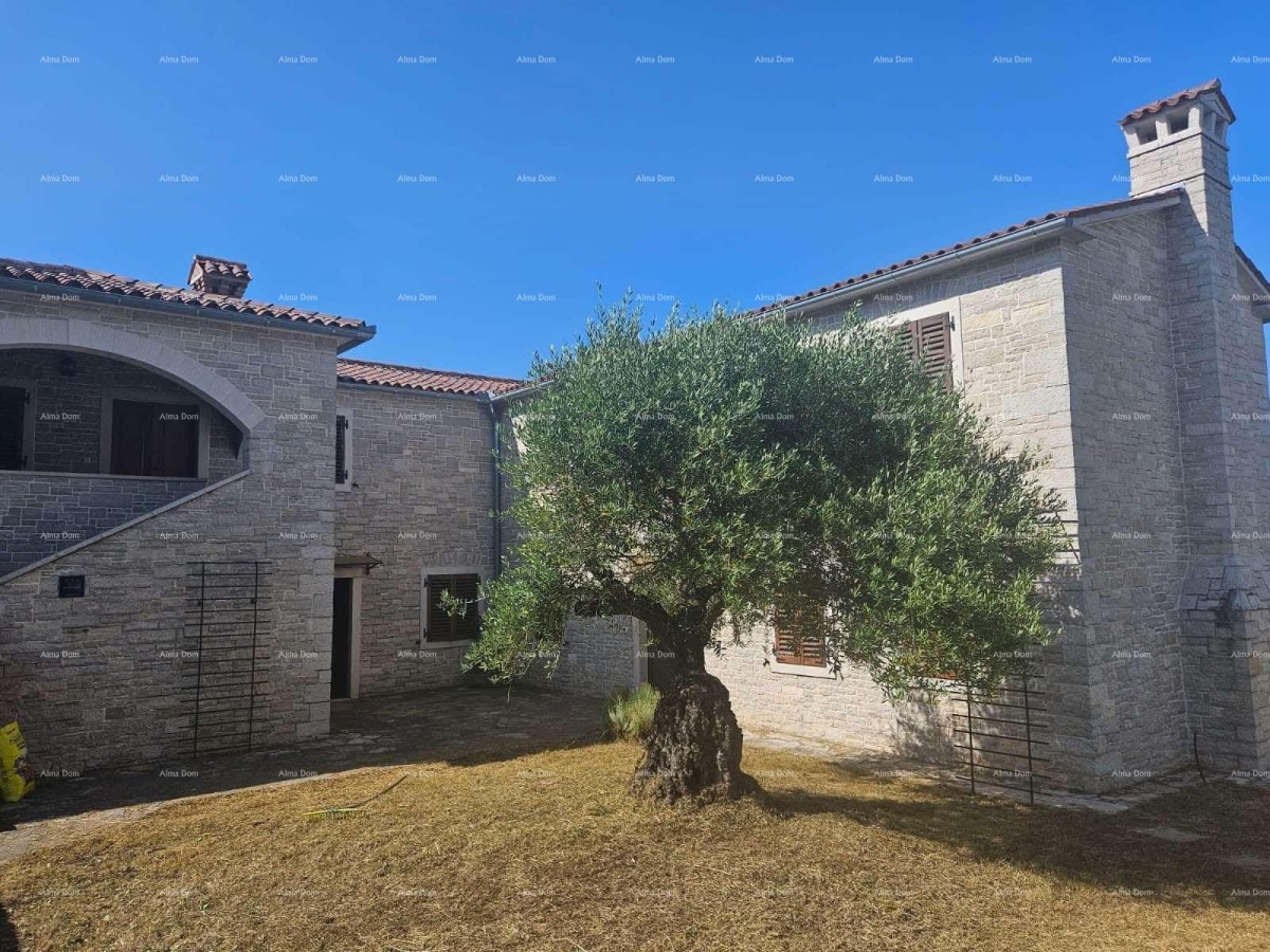 COMPLEX OF STONE HOUSES WITH 5 RESIDENTIAL UNITS – TINJAN 2