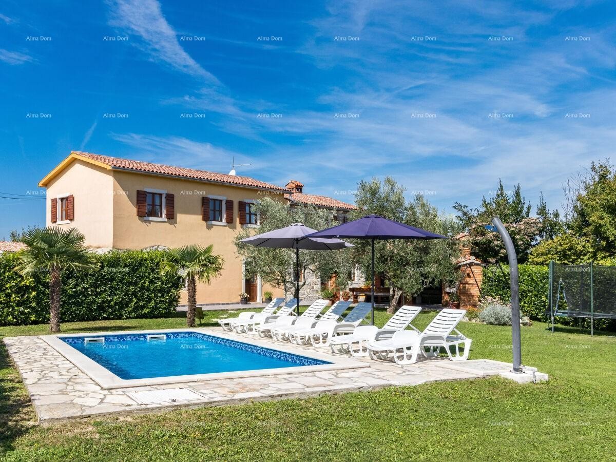 The translation of 12