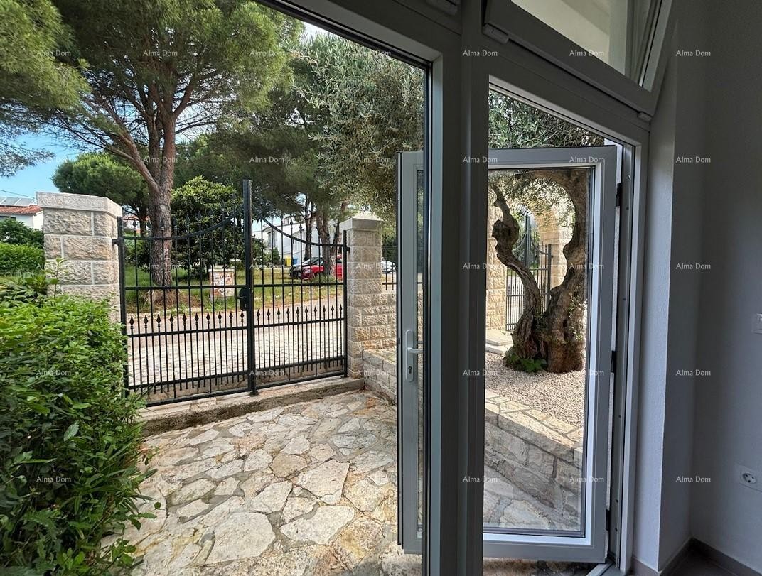 UMAG – Hiša s bazenom in tremi ločenimi apartmaji 30