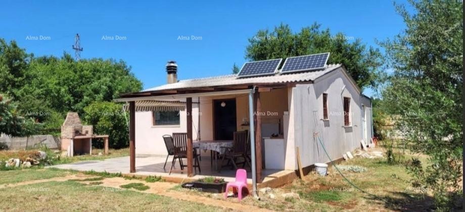 Marčana – House with an Olive Grove 1