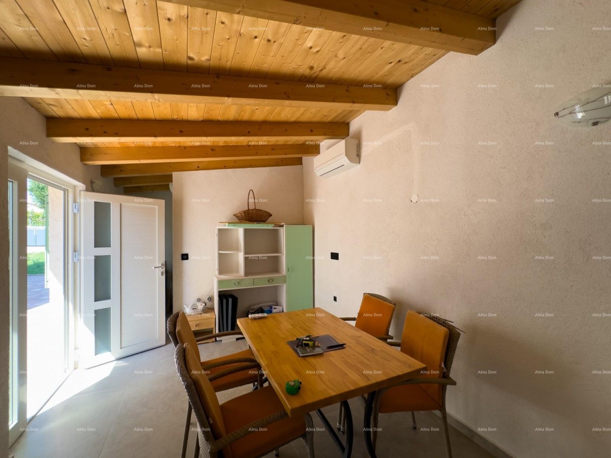 Редкость на рынке!   Istra  Barban 47