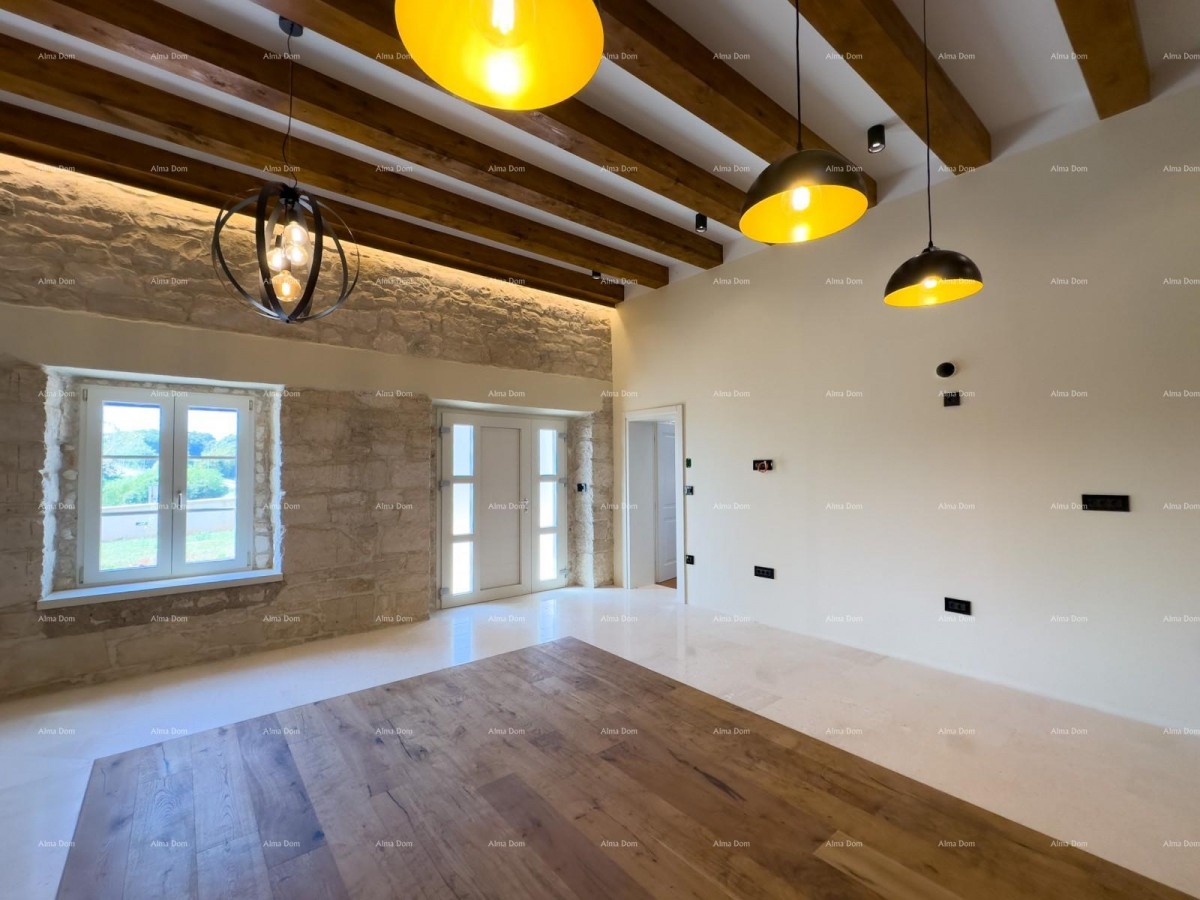 Редкость на рынке!   Istra  Barban 8