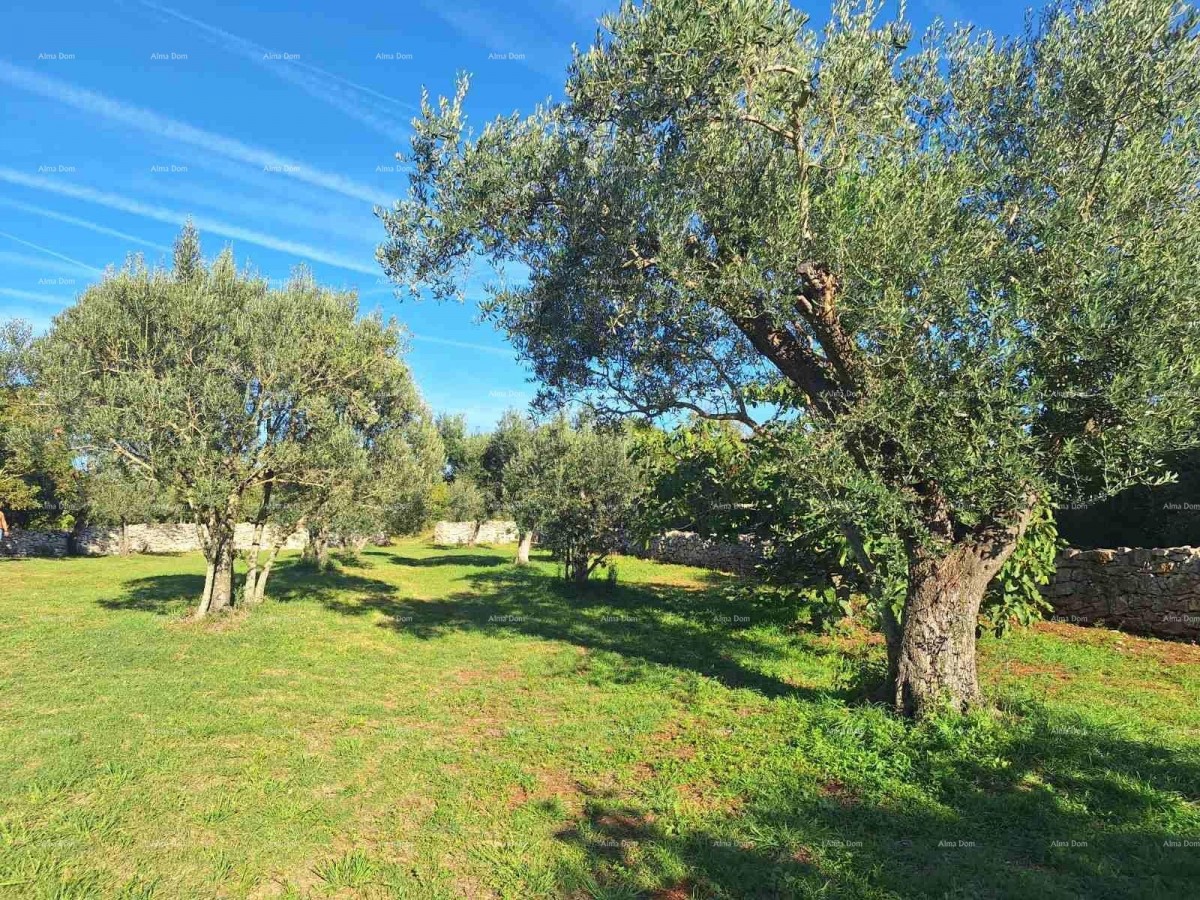 СЕЛЬСКОХОЗЯЙСТВЕННАЯ земля рядом с морем, Перов - продажа! 1