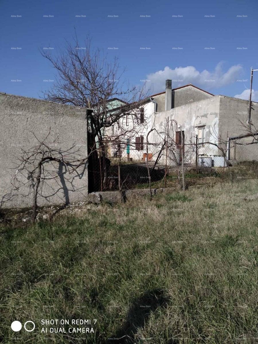 House Svetvinčenat 4