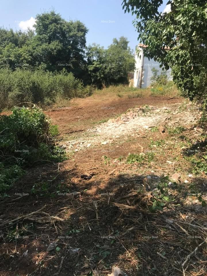 Terreno edificabile 1.137 m² – Filipana 4