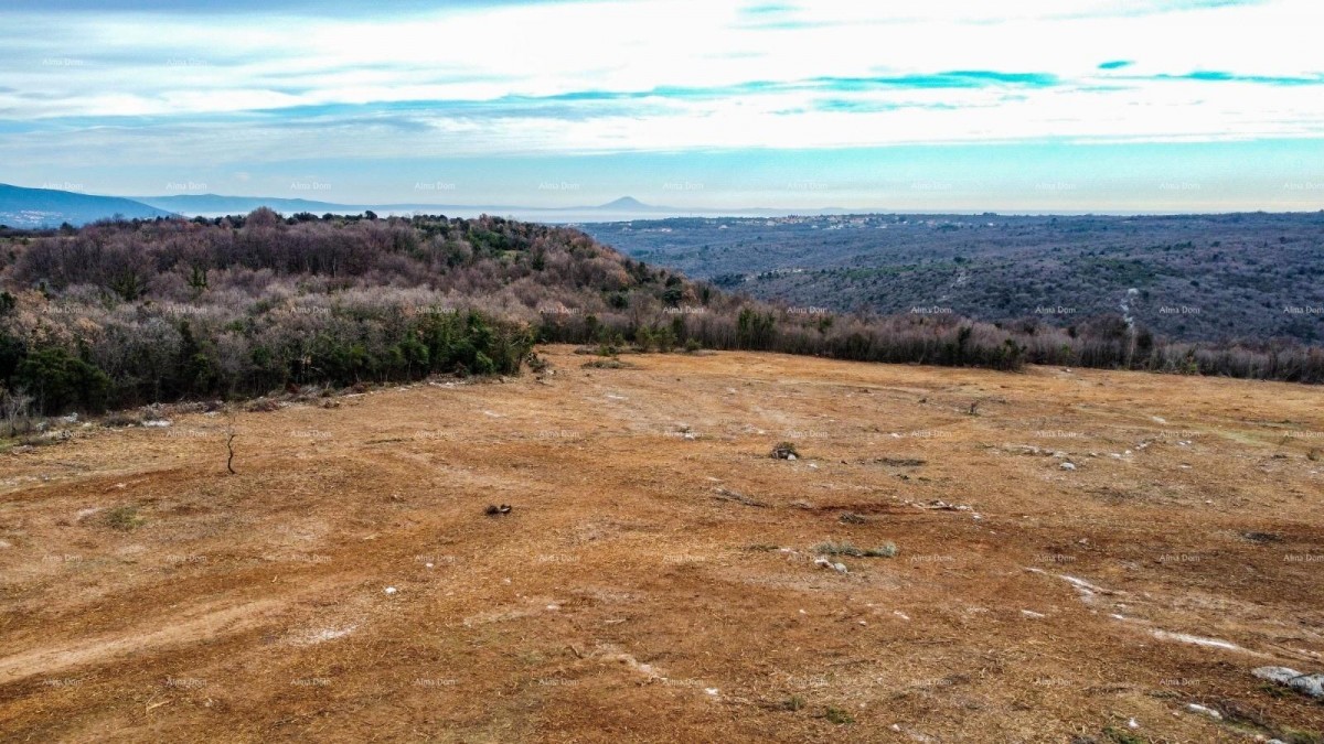 Проектная зона с видом на море — Истрия 4
