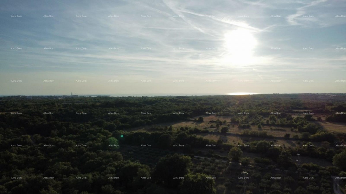 Vodnjan – Construction and Agricultural Land 8000m2 1