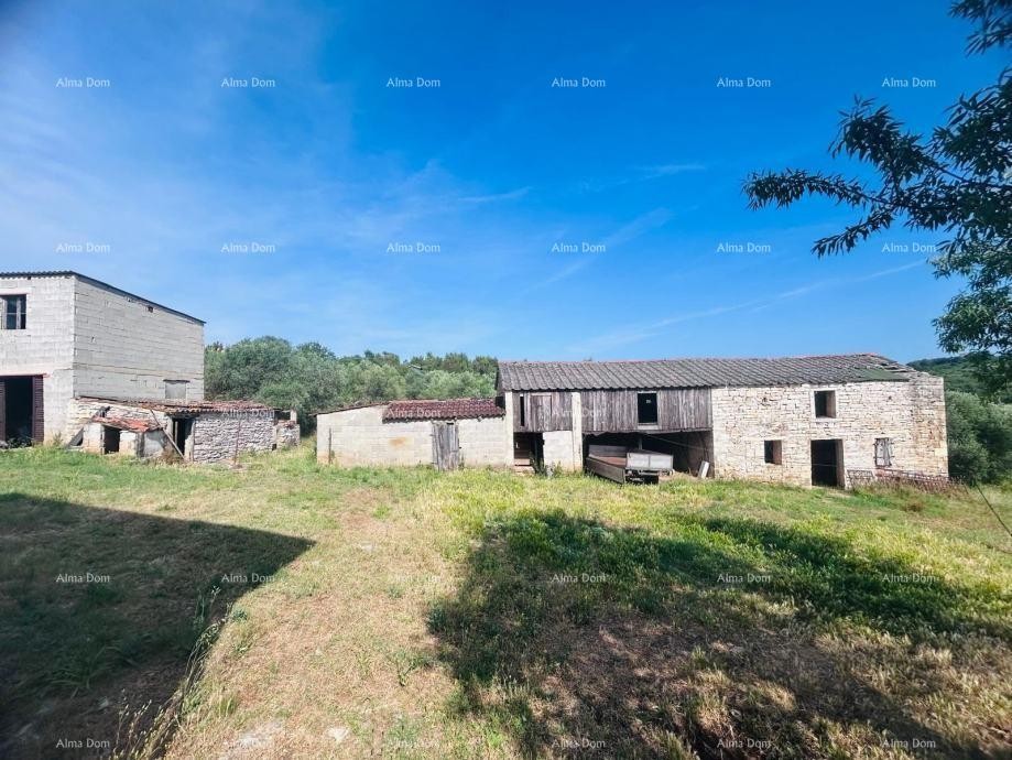 Буе – Самостоятельный дом с оливковым садом и строительным участком 14