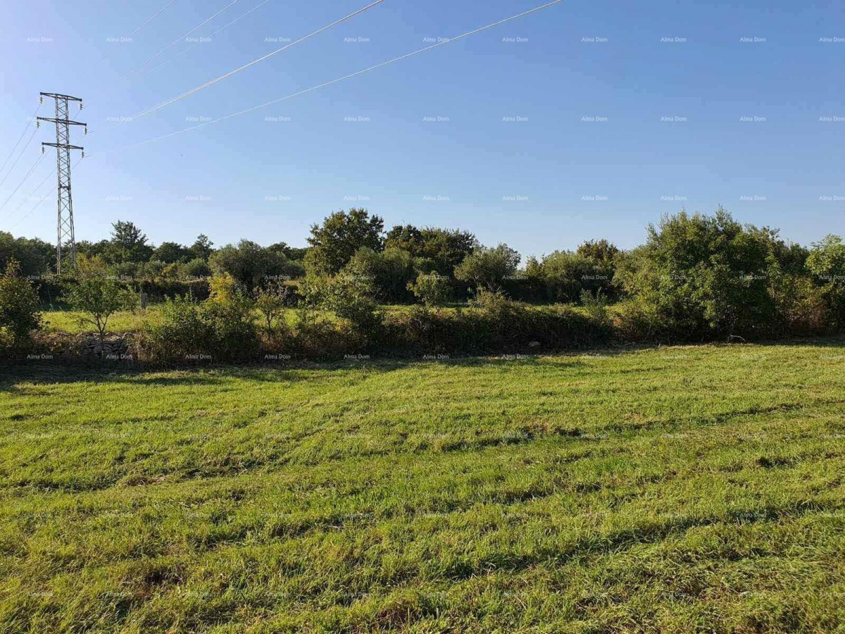 Эемля Marčana 5