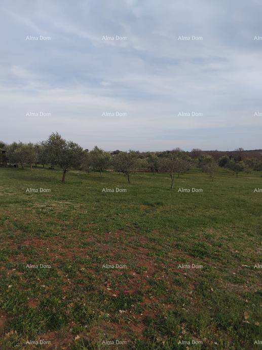 Atraktivno zemljišče, 5.716 m²,  okolica Poreča 3