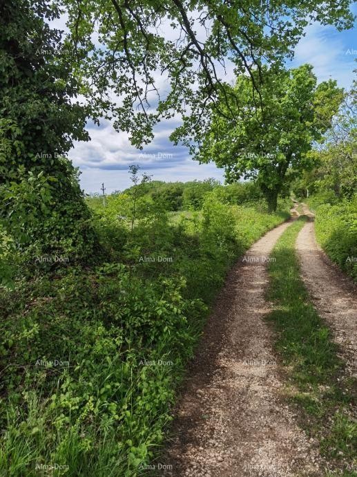 Excellent building land for investment. 12